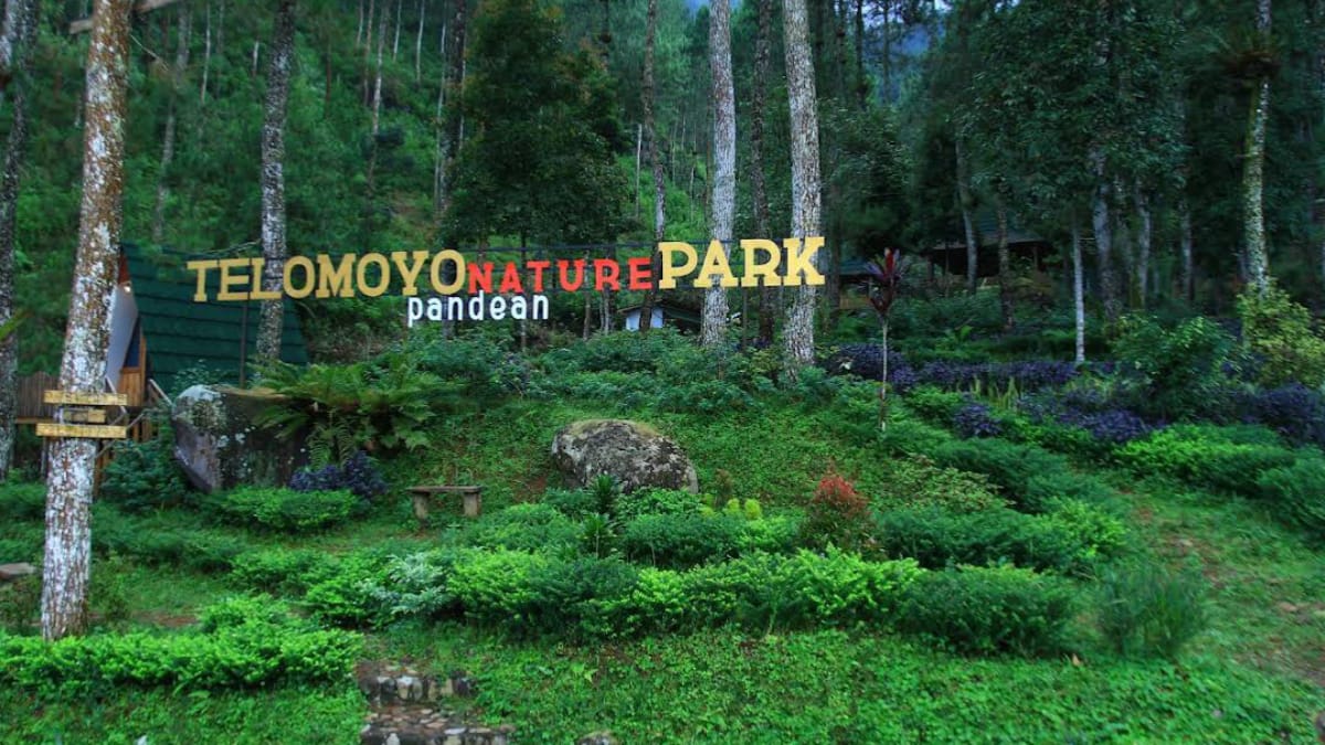 Telomoyo Nature Park: Surga Tersembunyi di Lereng Gunung Merapi